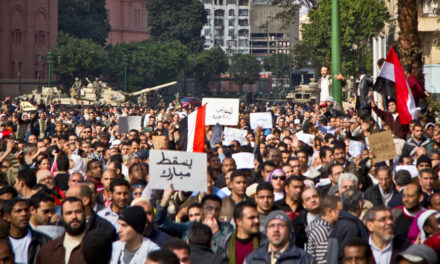 David Brooks Applies His Mental Equipment to the Egypt Coup