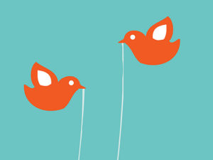 Twitter birds (cc image: Darren Barefoot)