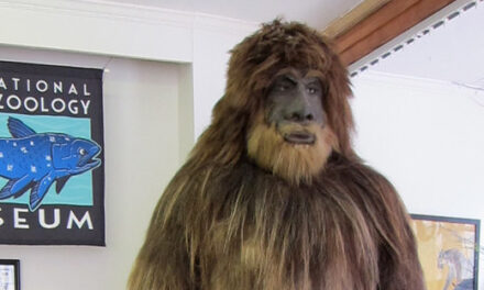 Is Cannabis More Dangerous Than Alcohol? Let’s Ask Bigfoot