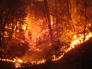 WildfireWildfire in Oregon (cc photo: H Dragon)