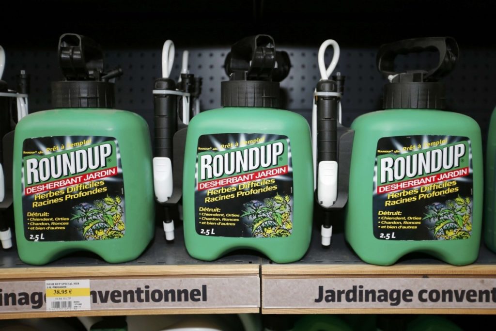 Roundup (photo: Charles Platiau/Reuters)