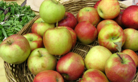 NPR Guest Warns Against Living Wages With Fantasies of $16 Apples
