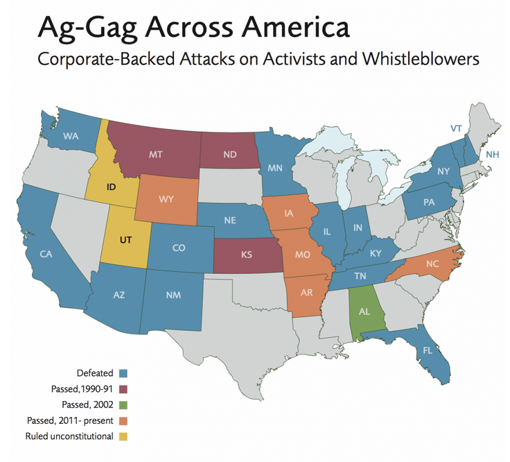 Ag-Gag Across America ( Defending Rights & Dissent, Center for Constitutional Rights)