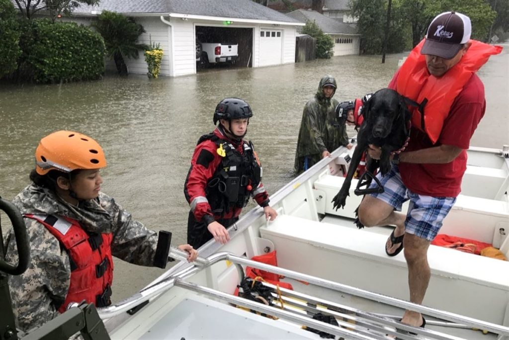 Texas National Guard rescues a resident and his dog, Cypress Creek, Texas (photo: Department of Defense)