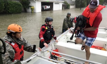 Neil deMause on Hurricane Harvey, Sarah Anderson on Corporate Tax Cuts