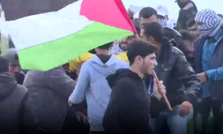 NPR Runs IDF Playbook, Spinning Killing of 17 Palestinians
