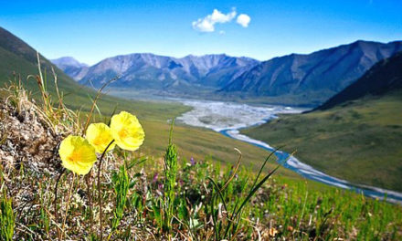 Karlin Itchoak on Wildlife Refuge Drilling, Steven Rosenfeld on How to Vote