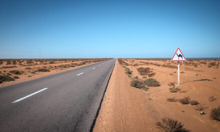Western Sahara Overlooked in Israel/Arab Summit Reporting