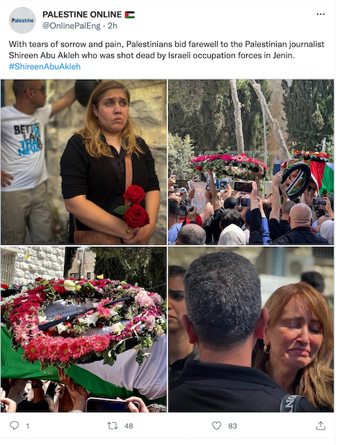 Palestine Online: Shireen Abu Akleh
