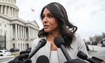 If a Democrat Fails Into Fox News, Should It Make a Sound?