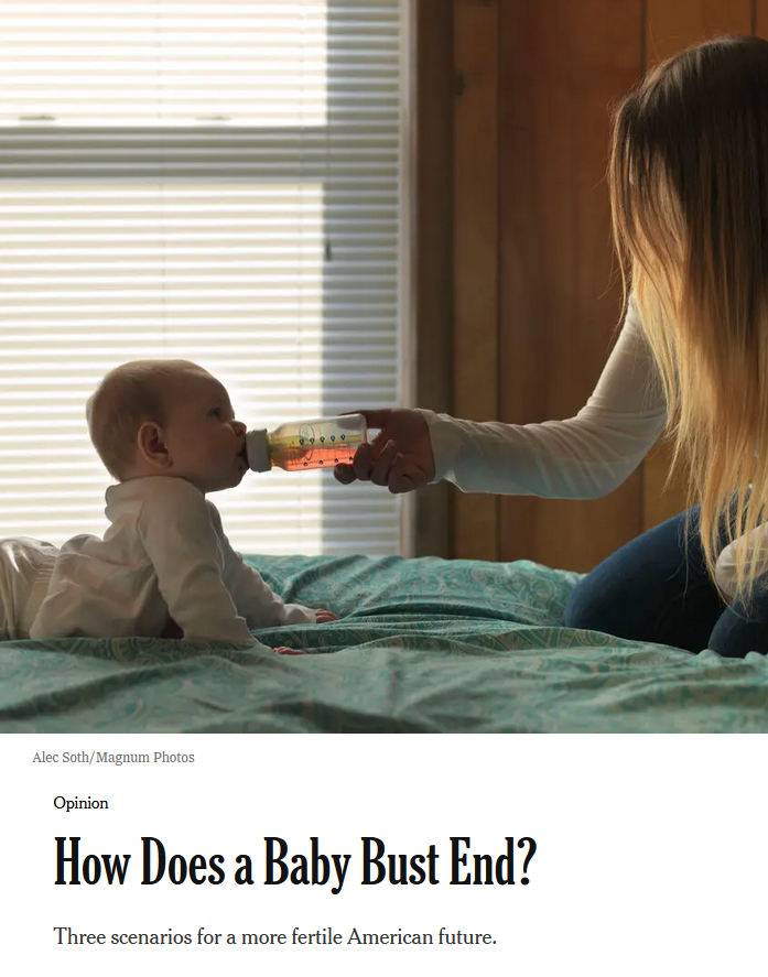 NYT: How Does a Baby Bust End?
