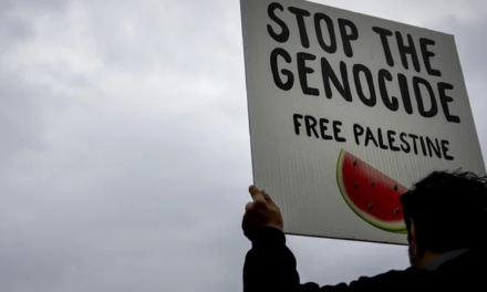 Phyllis Bennis on Israel’s War on Palestinians