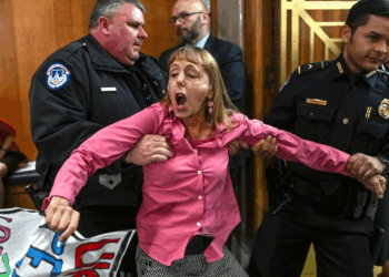 Arrest of Code Pink's Medea Benjamin