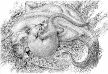 Concept art of a badger-like mammal (Repenomamus) biting a small horned dinosaur (Psittacossaurus).