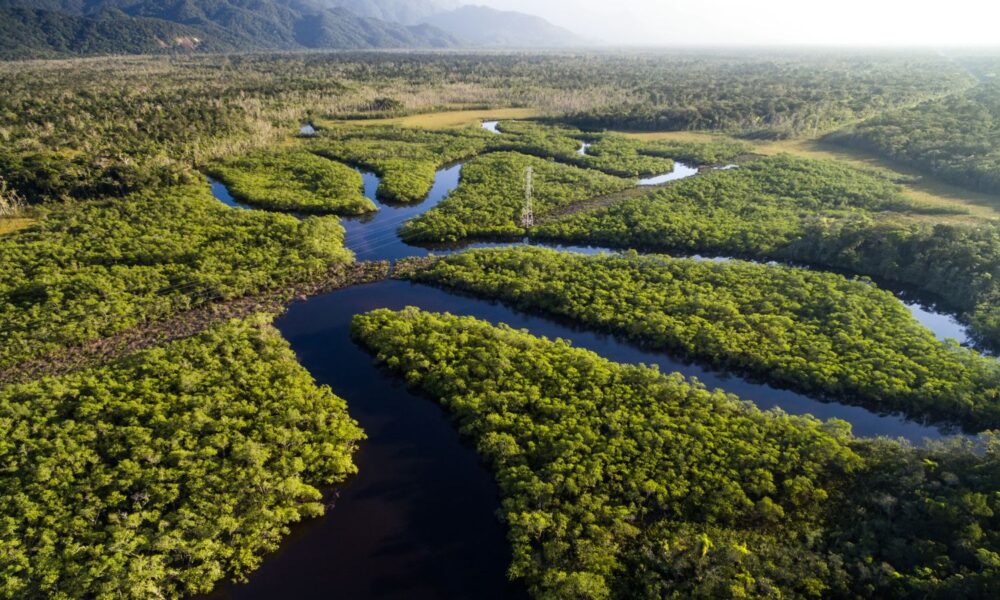 Rachel Cleetus on Climate Culpability, Dean Baker on Trumponomics