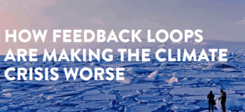 Climate Reality Project: How Feedback Loops Are Making the Climate Crisis Worse 