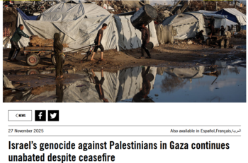 Amnesty: Israel’s genocide against Palestinians in Gaza continues unabated despite ceasefire