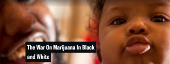 ACLU: The War On Marijuana In Black and White