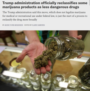 Scientific American: Trump administration officially reclassifies some marijuana products as less dangerous drugs