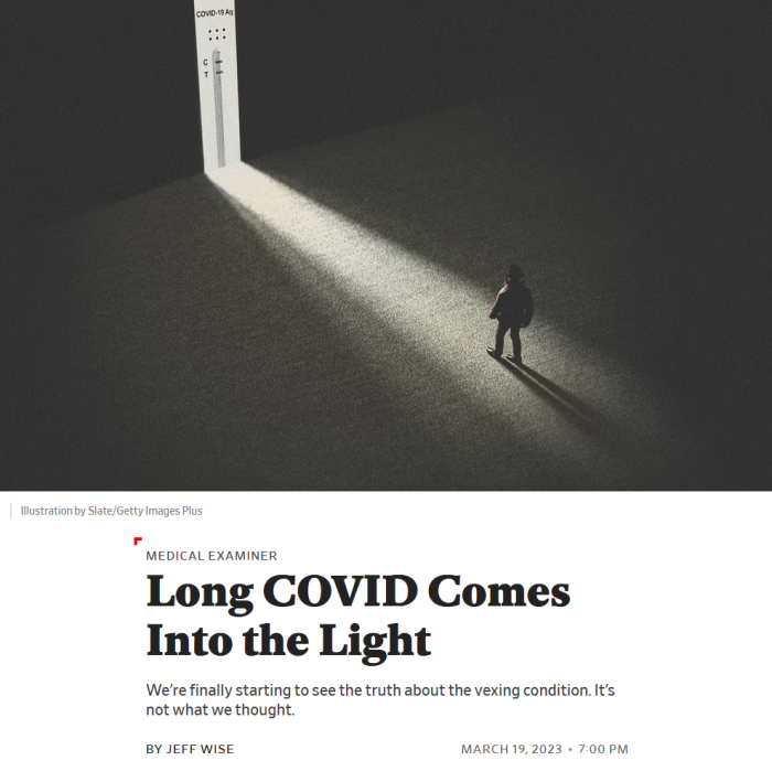 Slate: Long COVID Comes Into the Light