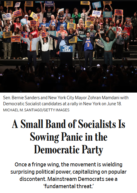 WSJ: A Small Band of Socialists Is Sowing Panic in the Democratic Party