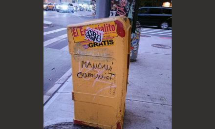 Raina Lipsitz on DSA Politics